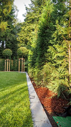 Linien-Garten – Detail