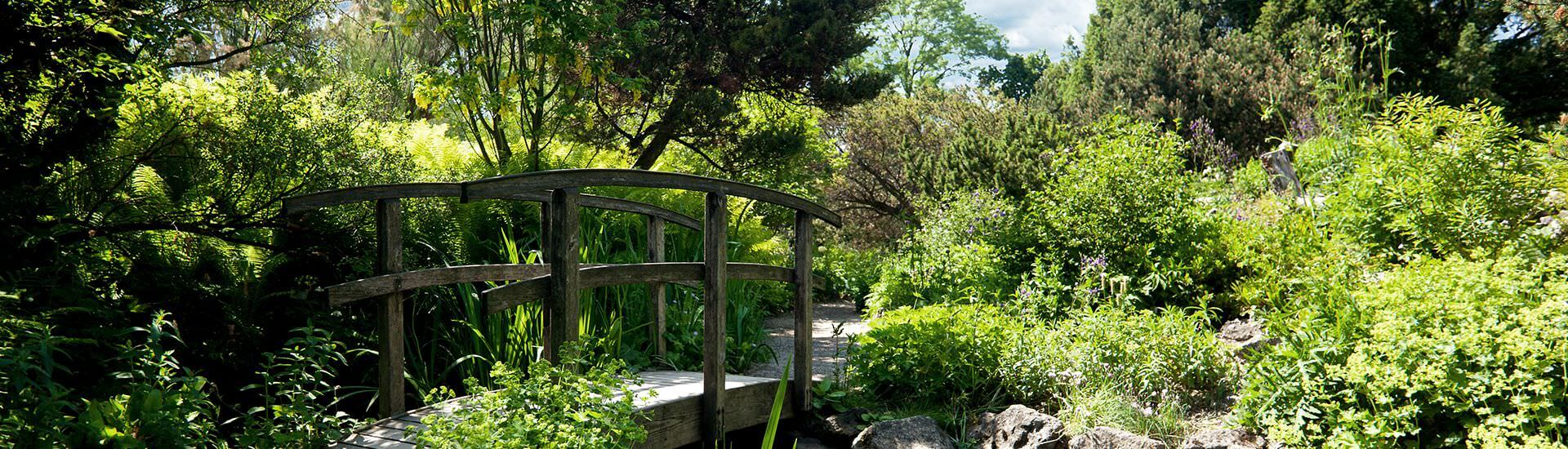 Neuigkeiten von Gärten von Klein